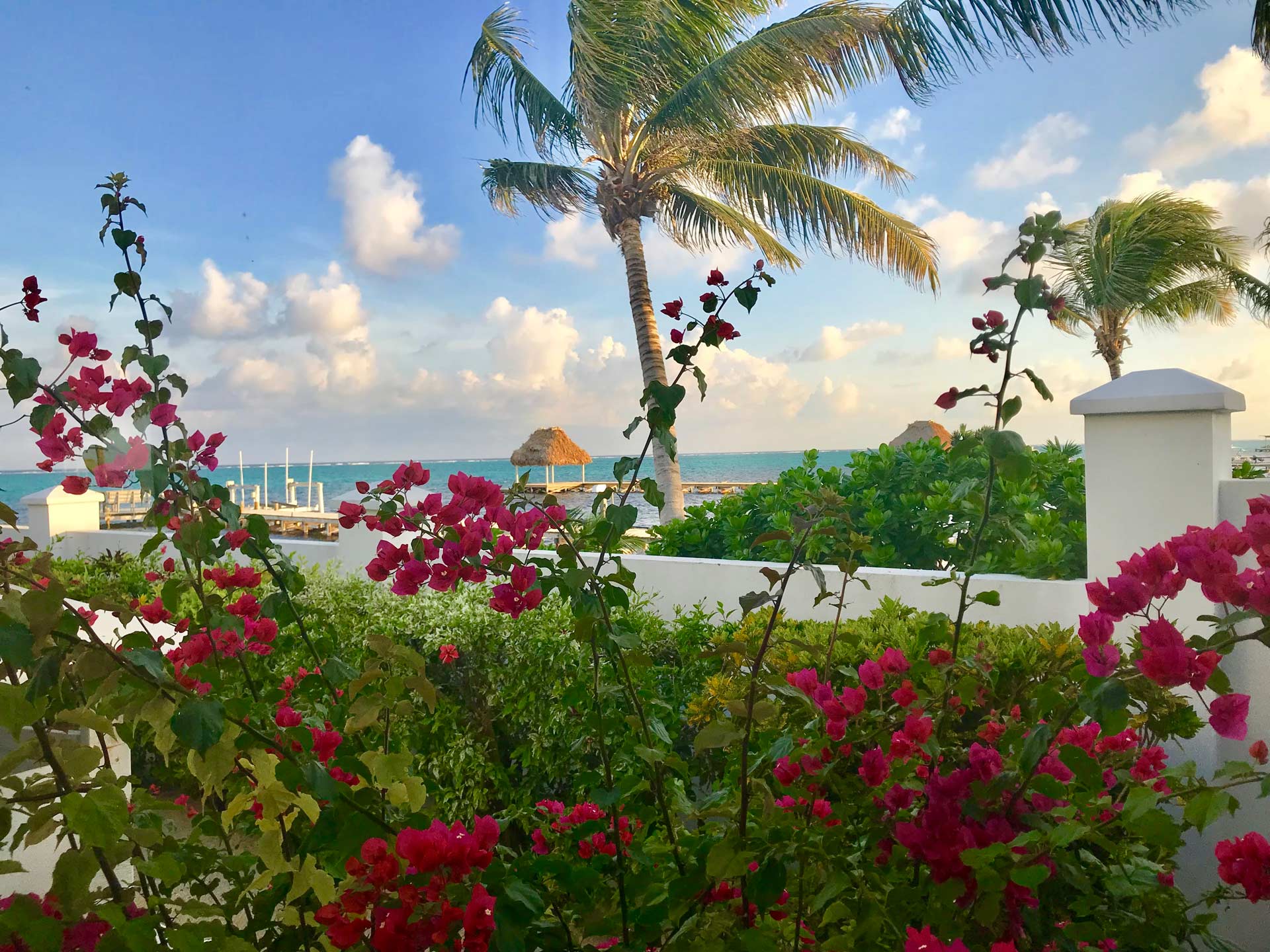 View from Playa Blanca Island Villas across palms, sand, and turquoise sea in San Pedro, Belize